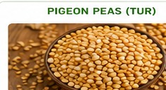 Pigeon Peas (Tur)